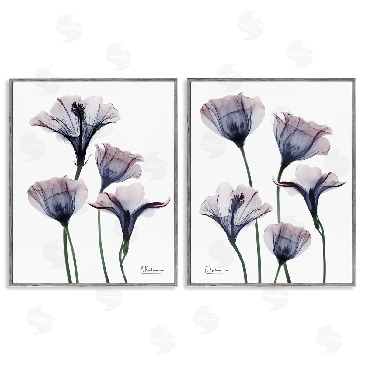 Bountiful Dusk Lilies Grey Frame Print Wall Art, Home Decor by Albert Koetsier