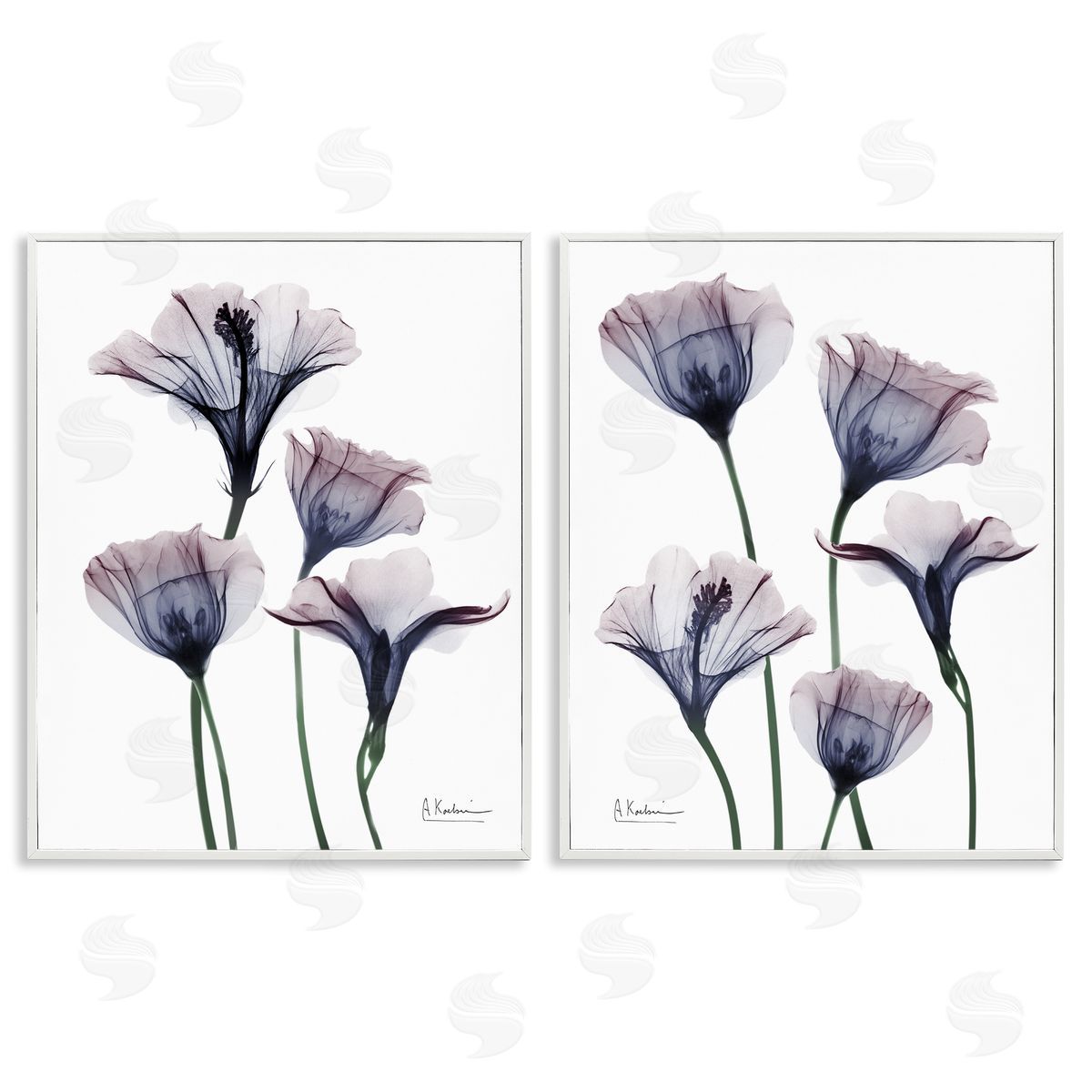 Bountiful Dusk Lilies White Frame Print Wall Art, Home Decor by Albert Koetsier