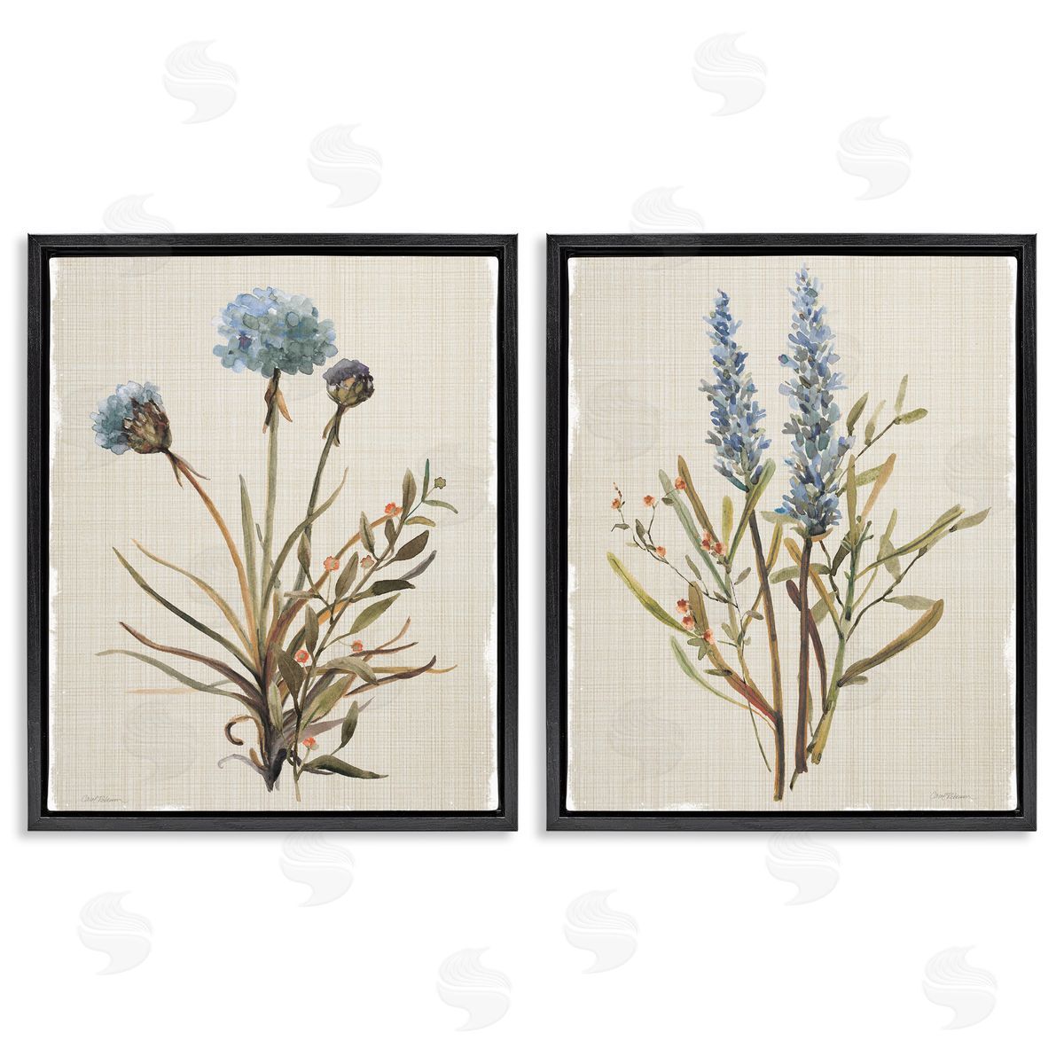 Natural Budding Blooms Black Floating Frame Canvas Wall Art, Home Decor by Carol Robinson