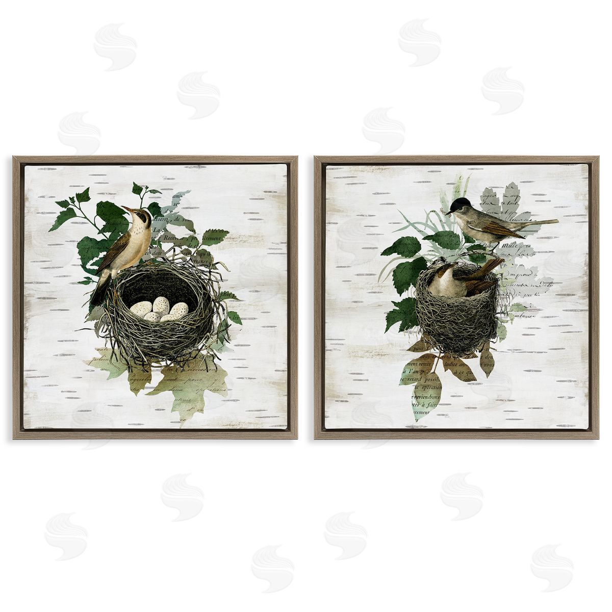 Rustic Vintage Bird Nests Brown Floating Frame Canvas Wall Art, Home Decor by Susan Arnot