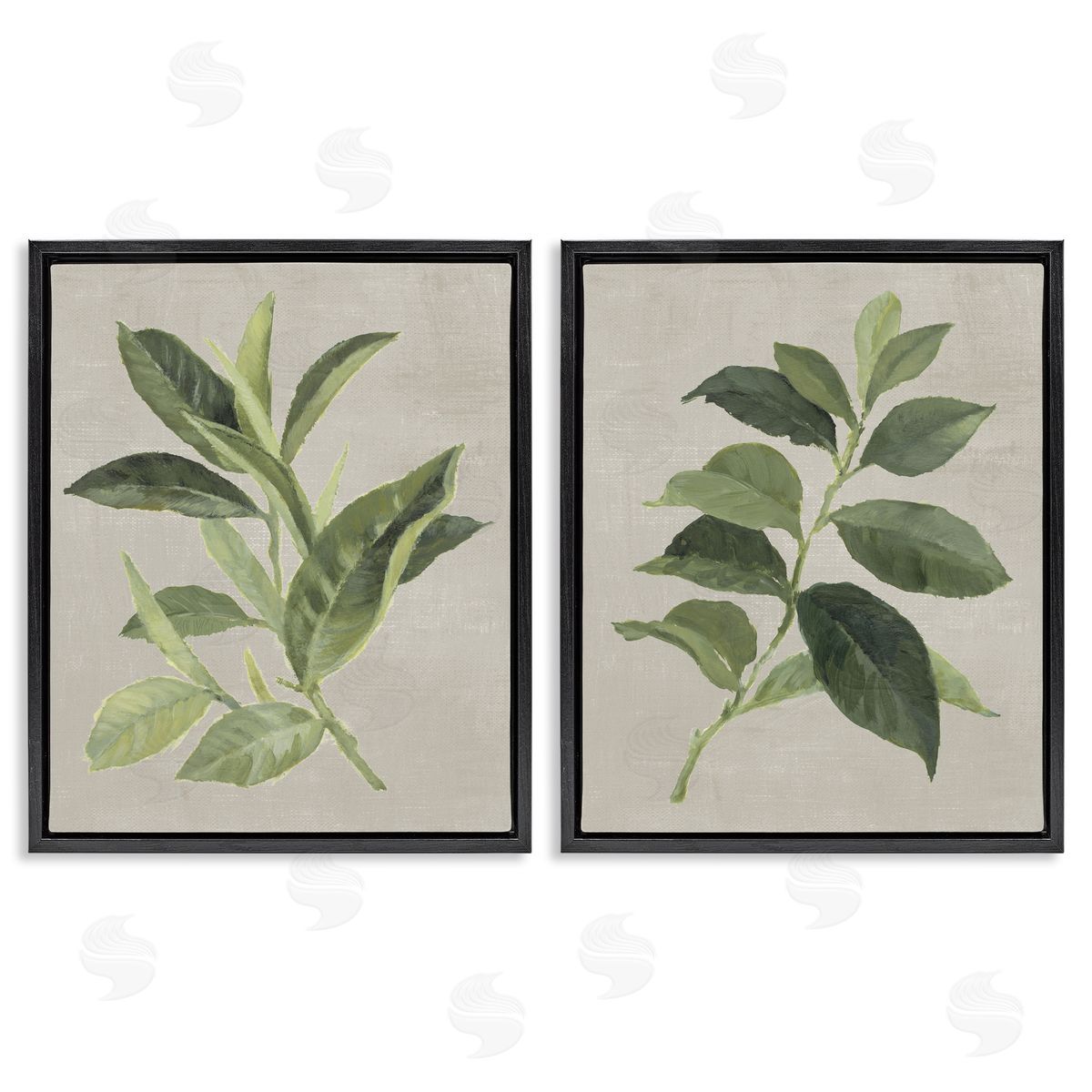 Green Tea & Coffee Plant Leaves Black Floating Frame Canvas Wall Art, Home Decor by Lanie Loreth