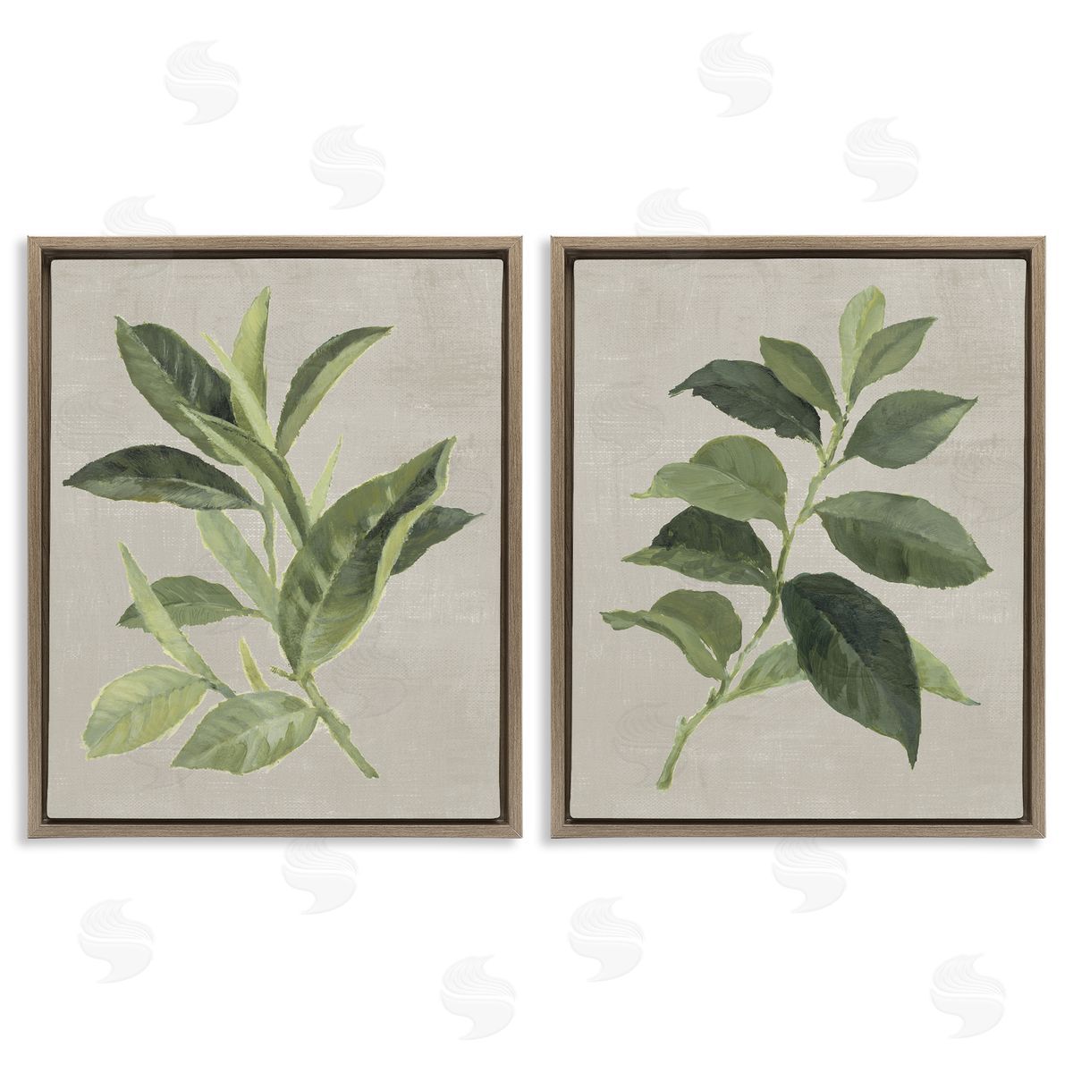 Green Tea & Coffee Plant Leaves Brown Floating Frame Canvas Wall Art, Home Decor by Lanie Loreth
