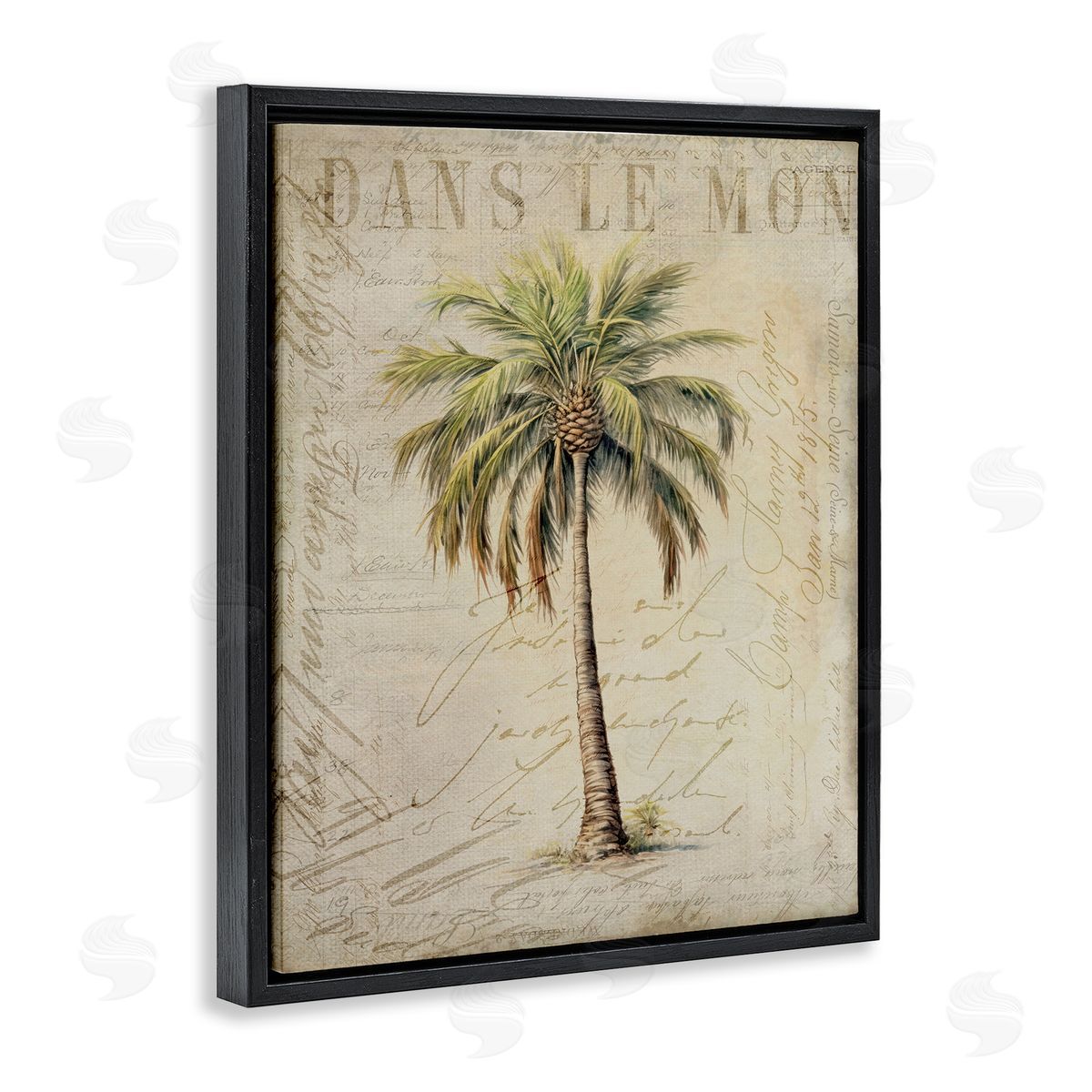 Andrea Haase Vintage Palm Tree Black Floater Frame Canvas Artside_
