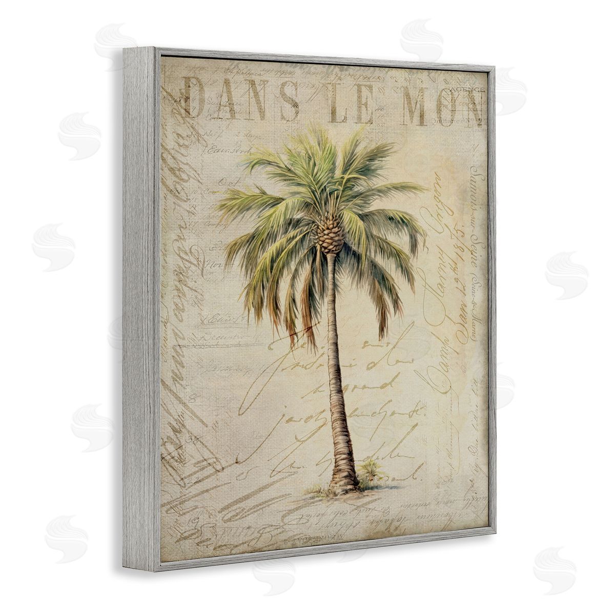 Andrea Haase Vintage Palm Tree Gray Framed Giclee Wall Artside_