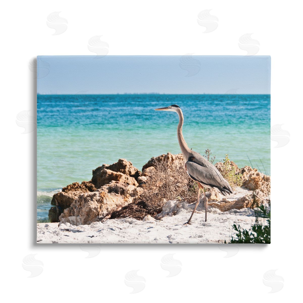 Mary Lou Johnson Heron Watching Ocean Canvas Wall Art Print