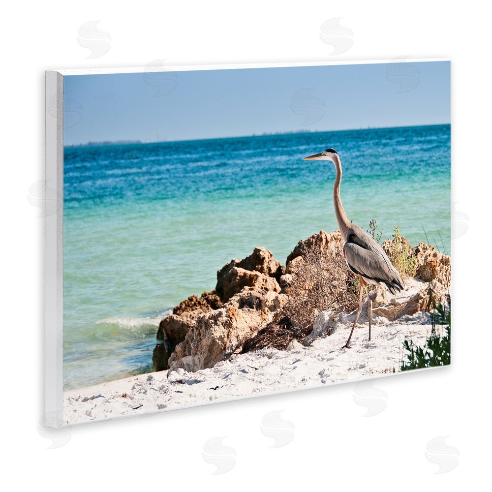 Mary Lou Johnson Heron Watching Ocean Wooden Wall Plaque Art Print