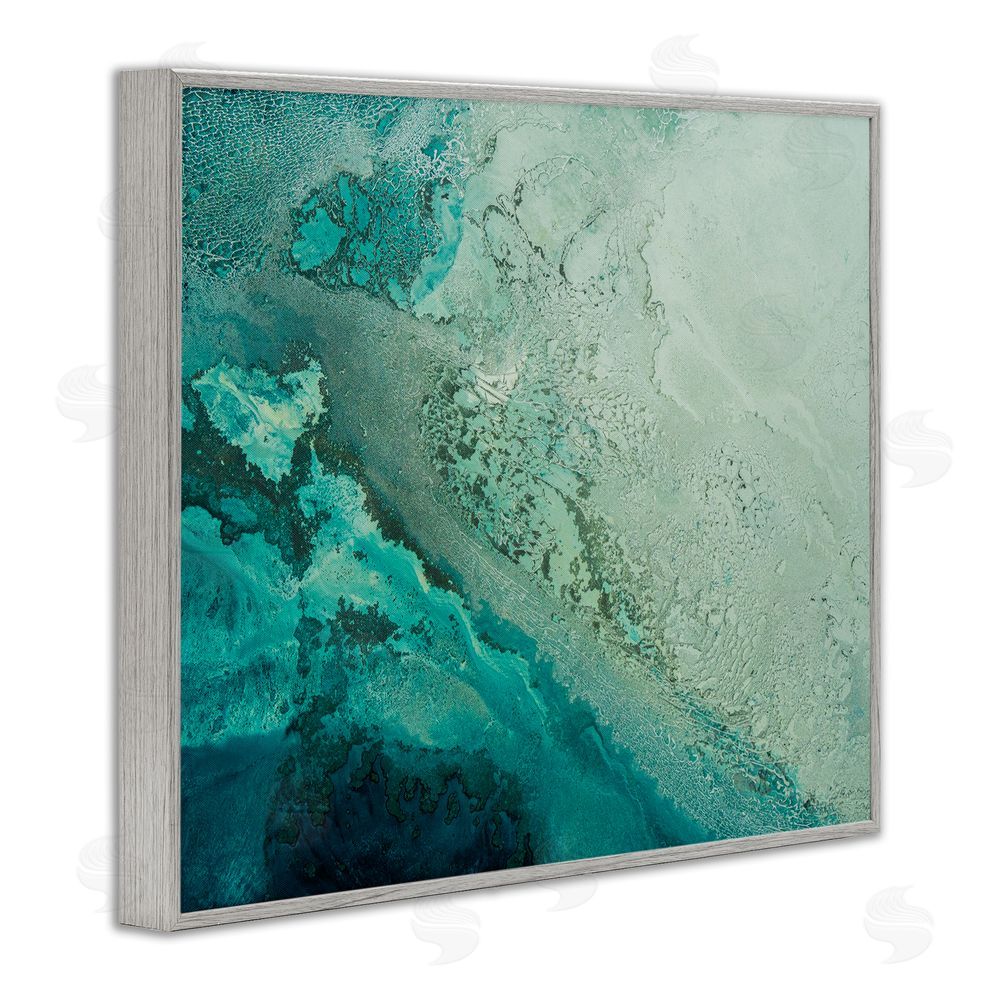 Petra Meikle de Vlas Aerial View Tide Pool Gray Framed Giclee Wall Art Print