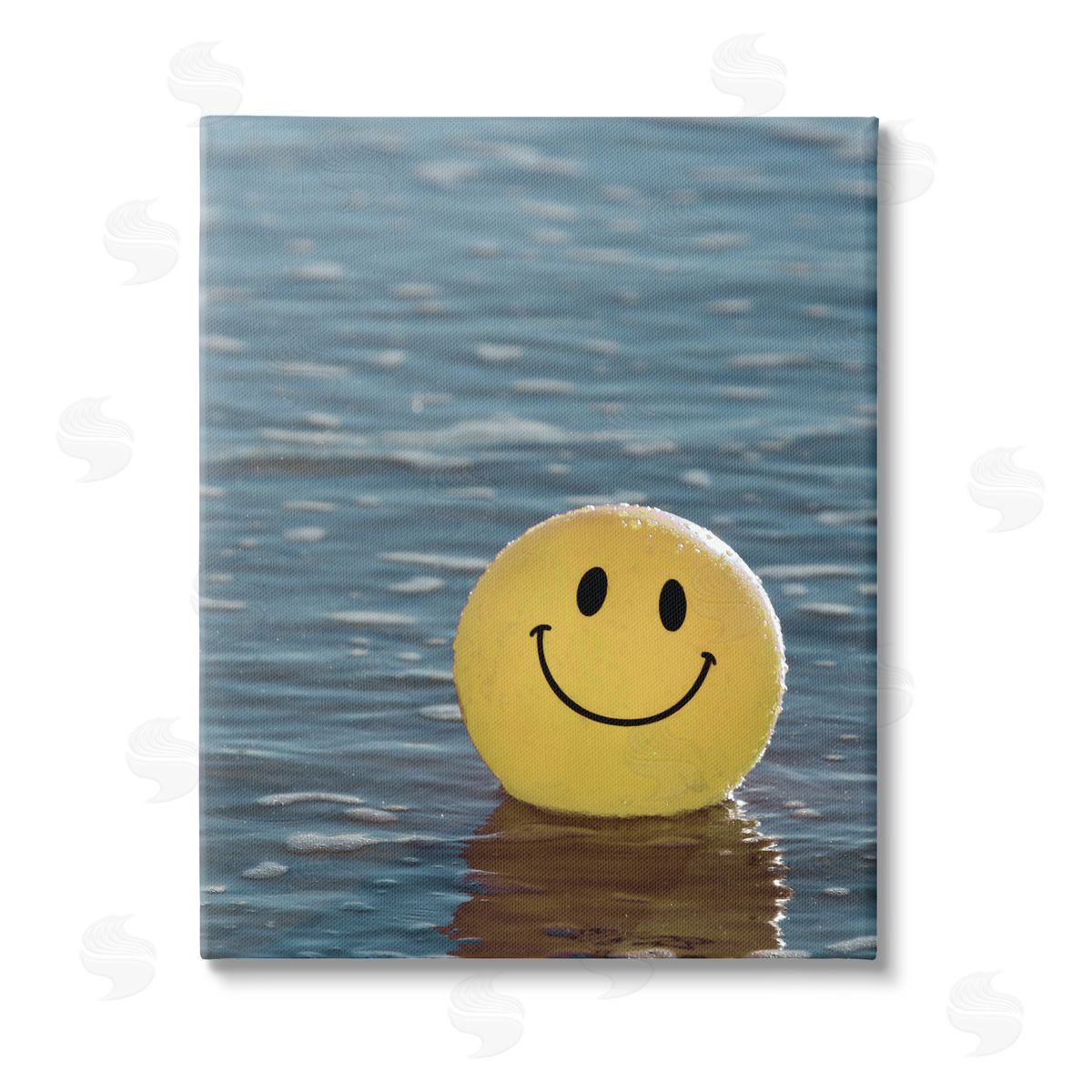 Stupell Studio Smiley Beach Ball Canvas Wall Art Print