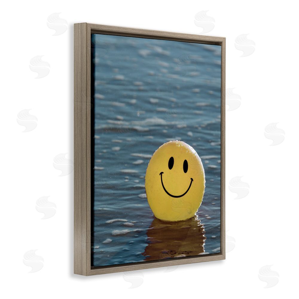 Stupell Studio Smiley Beach Ball Brown Floating Frame Canvas Wall Art Print