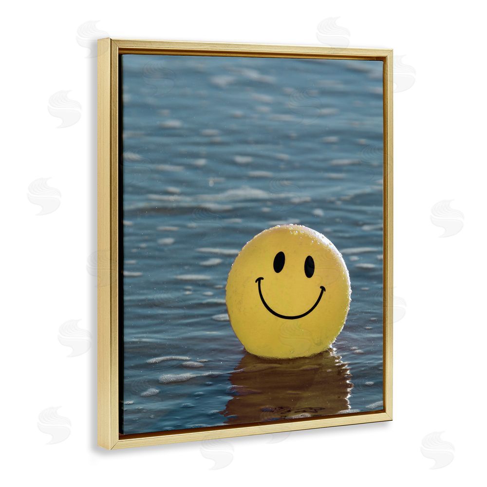 Stupell Studio Smiley Beach Ball Gold Floating Frame Canvas Wall Art Print