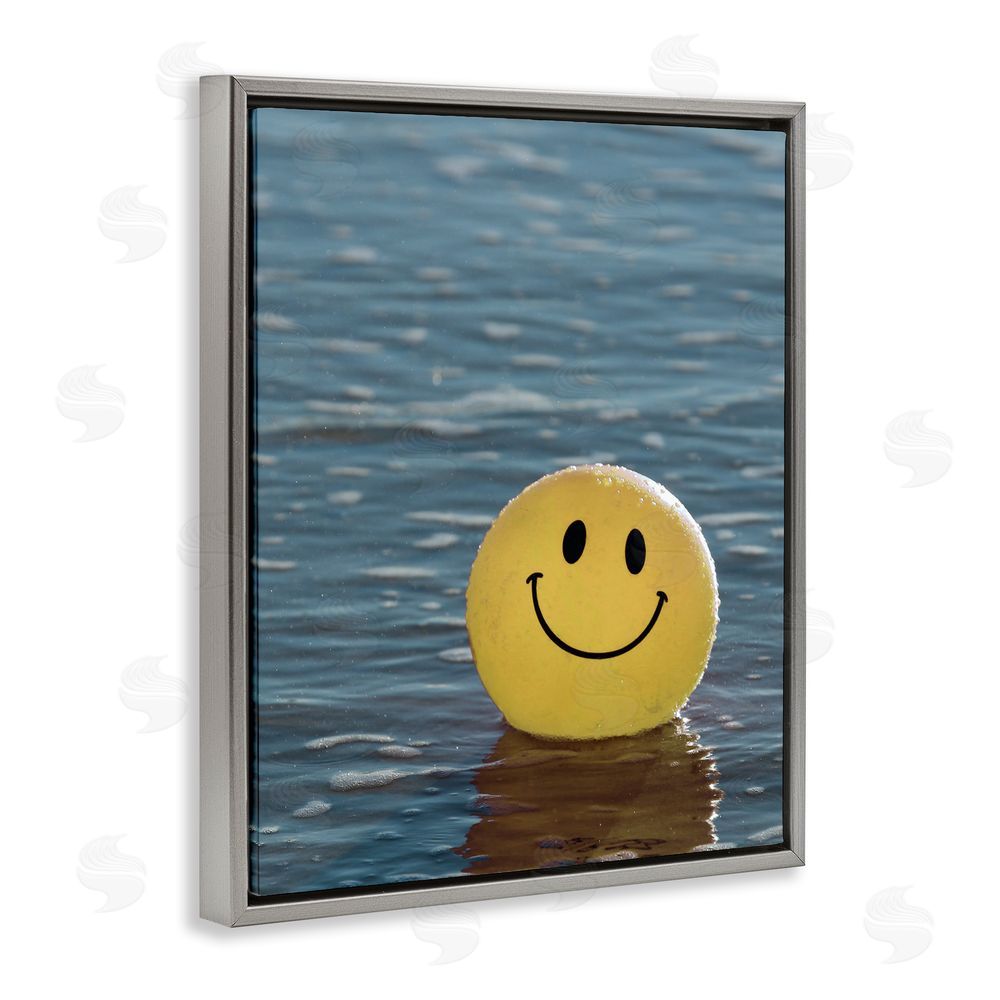 Stupell Studio Smiley Beach Ball Gray Floating Frame Canvas Wall Art Print