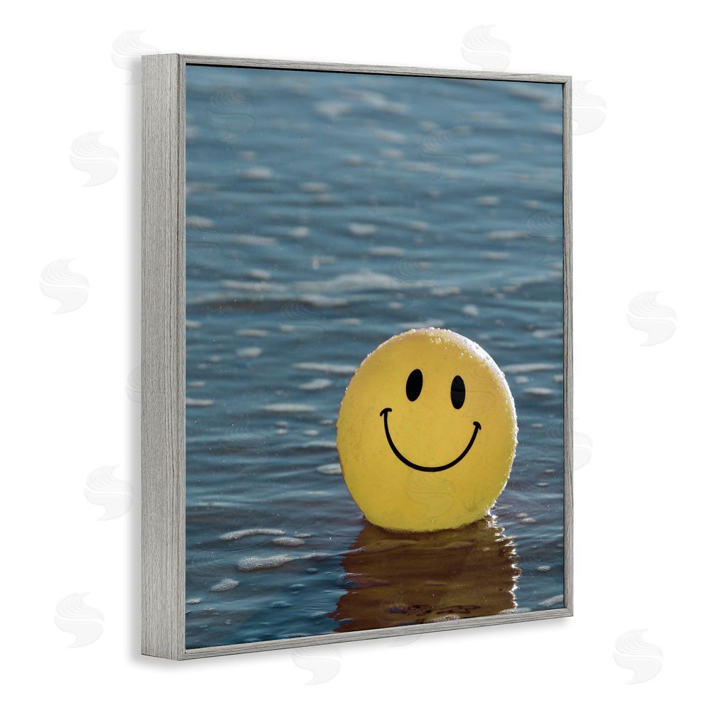 Stupell Studio Smiley Beach Ball Gray Framed Giclee Wall Art Print