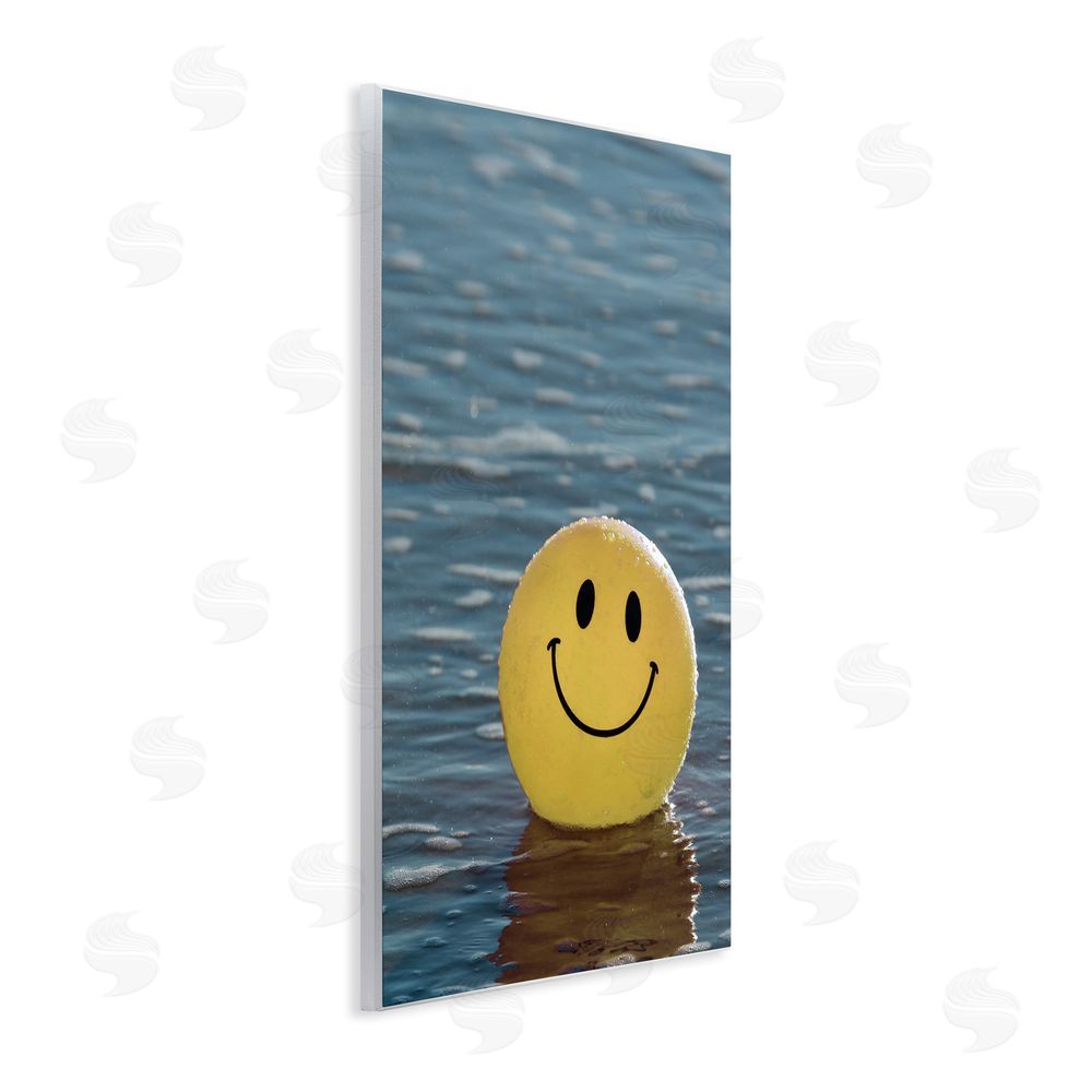 Stupell Studio Smiley Beach Ball Wooden Wall Plaque Art Print