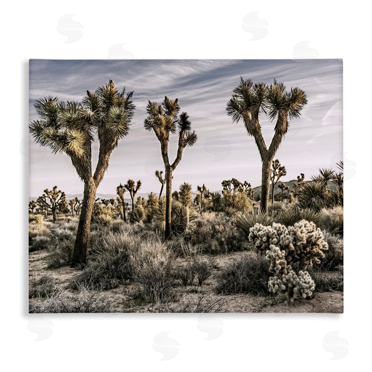 Rachel Perry Desert Cacti Vegetation Stretched Canvas Wall Art Print