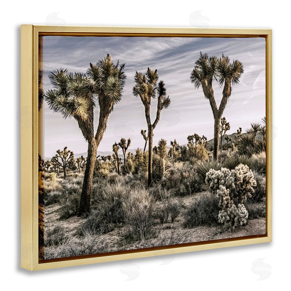 Rachel Perry Desert Cacti Vegetation Gold Floating Frame Canvas Wall Art Print