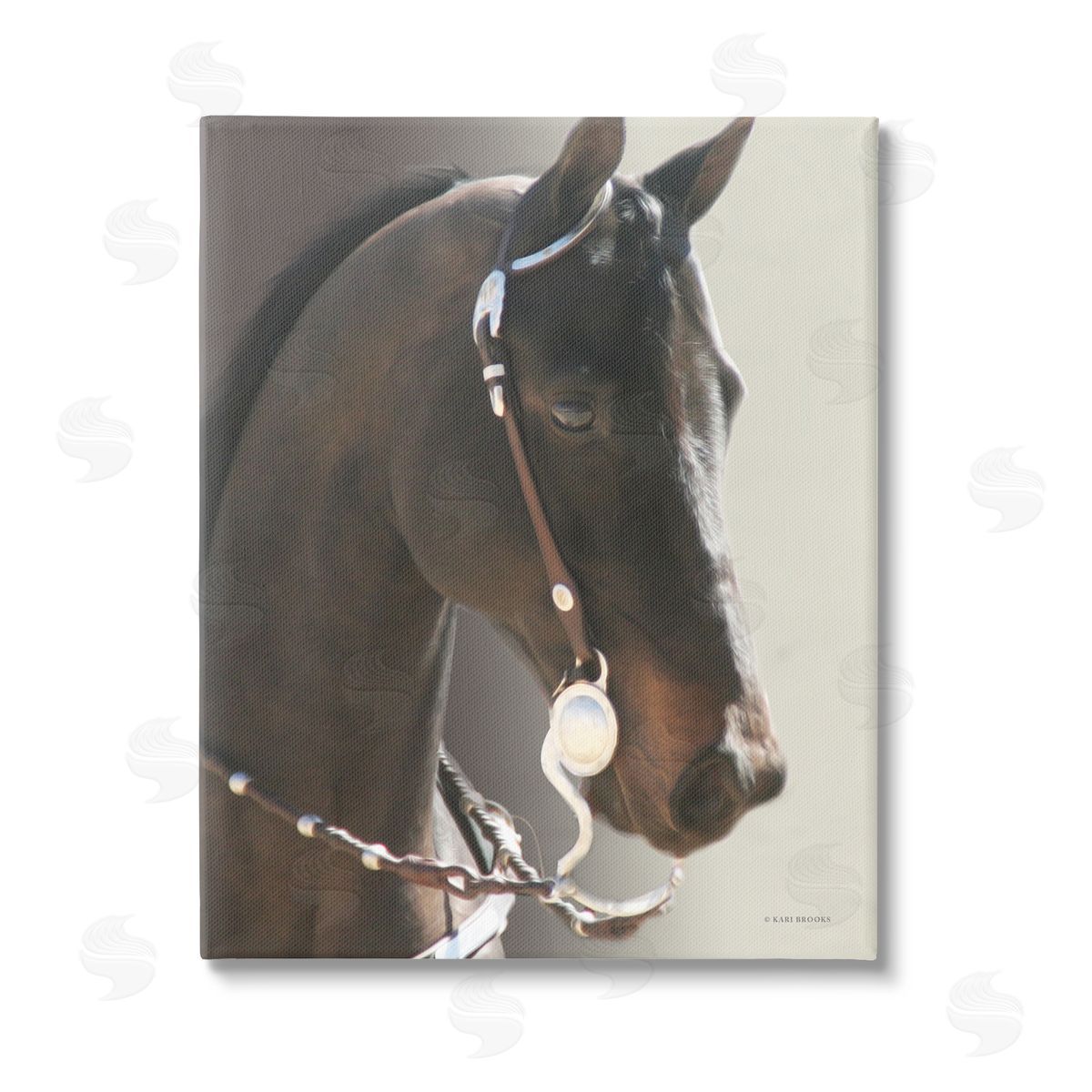 Kari Brooks Horse with Bridle Canvas Wall Art Print