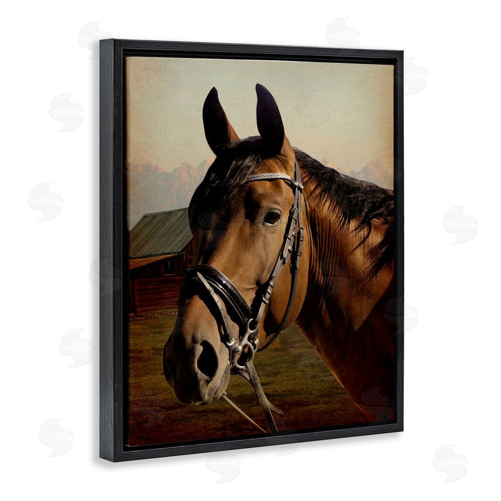Marcus Prime Brown Horse Portrait Black Floating Frame Canvas Wall Art Print