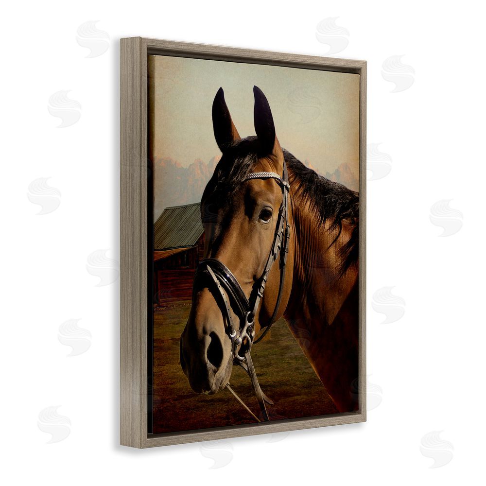Marcus Prime Brown Horse Portrait Brown Floating Frame Canvas Wall Art Print