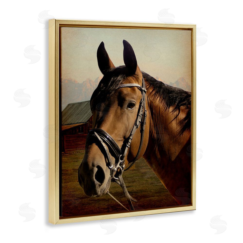 Marcus Prime Brown Horse Portrait Gold Floating Frame Canvas Wall Art Print
