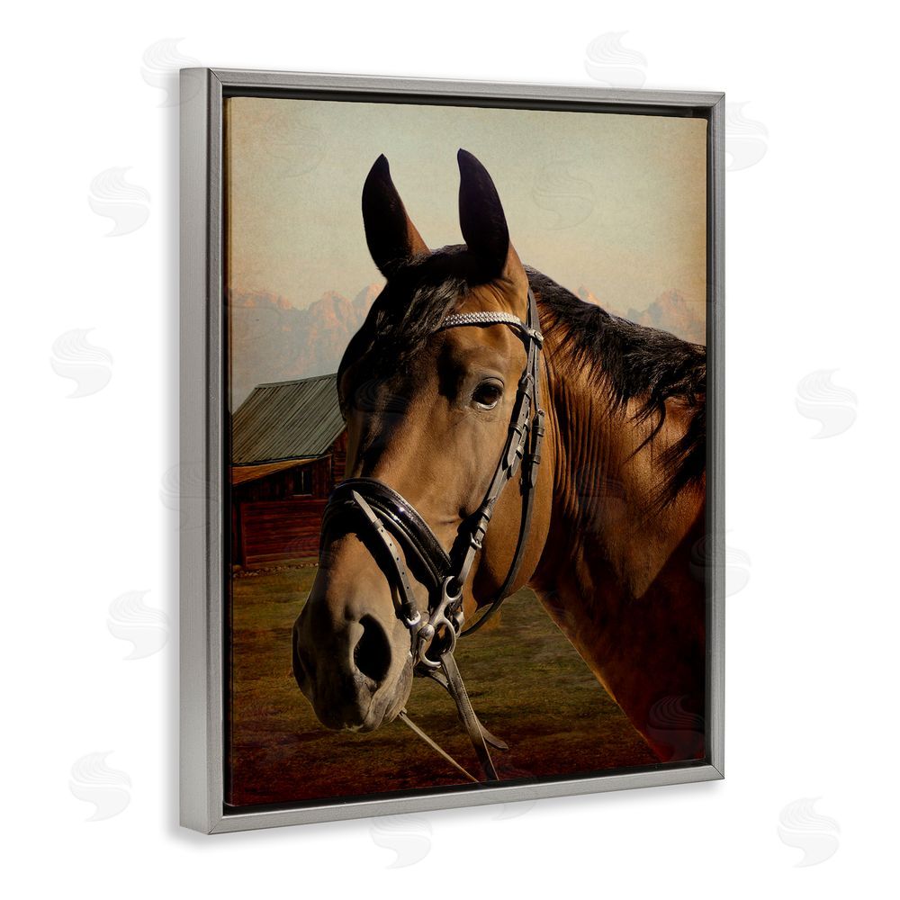Marcus Prime Brown Horse Portrait Gray Floating Frame Canvas Wall Art Print