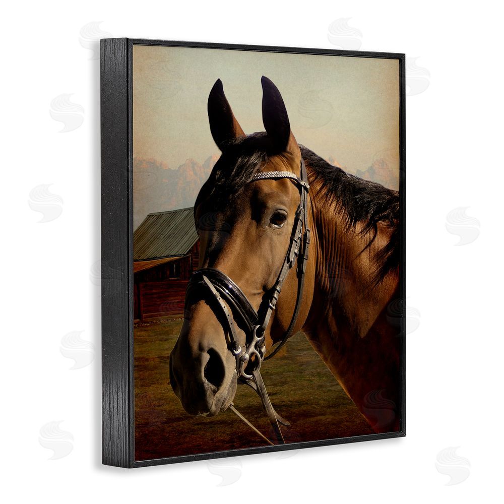 Marcus Prime Brown Horse Portrait Black Framed Giclee Wall Art Print