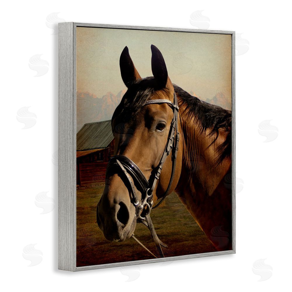 Marcus Prime Brown Horse Portrait Gray Framed Giclee Wall Art Print