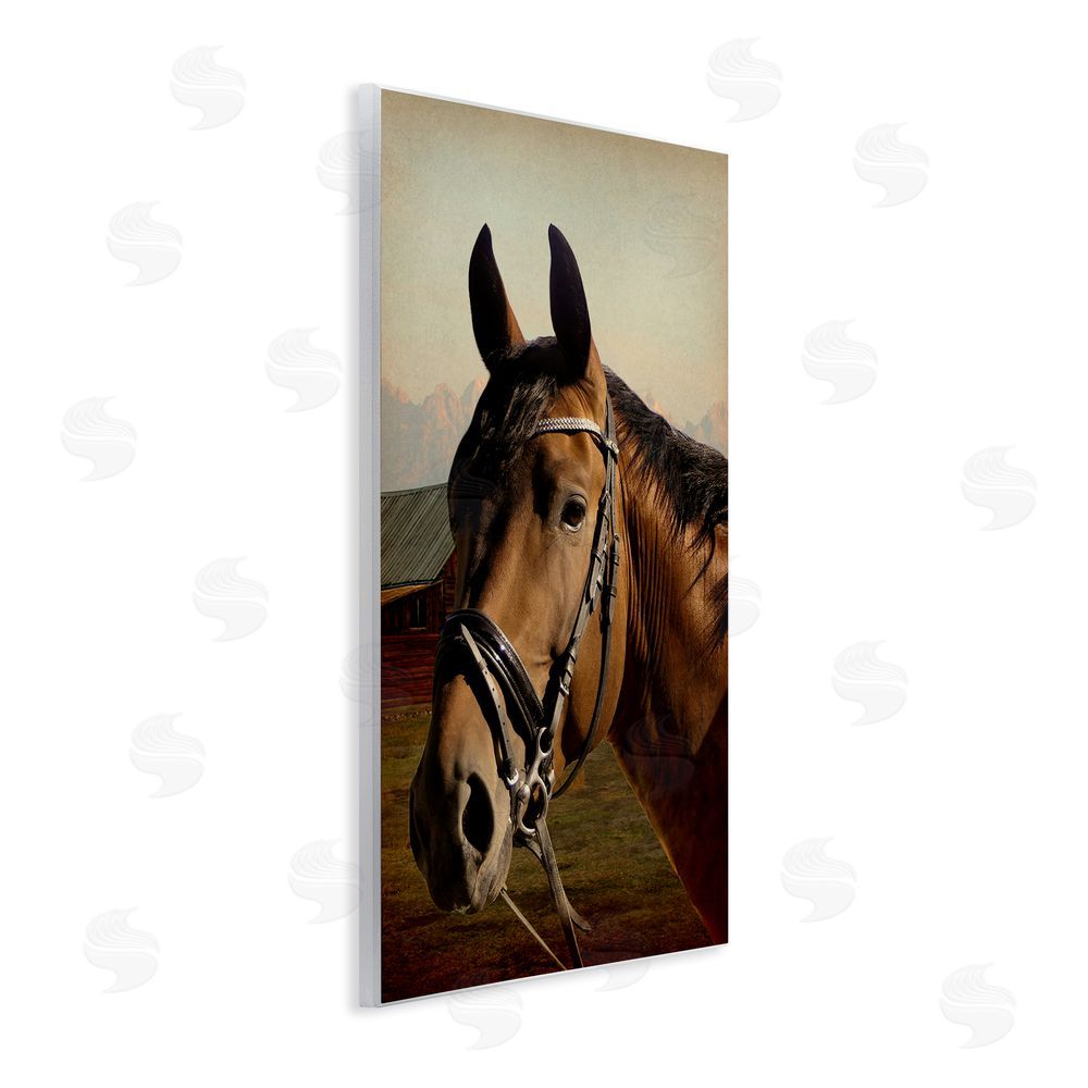 Marcus Prime Brown Horse Portrait Wooden Wall Plaque Art Print