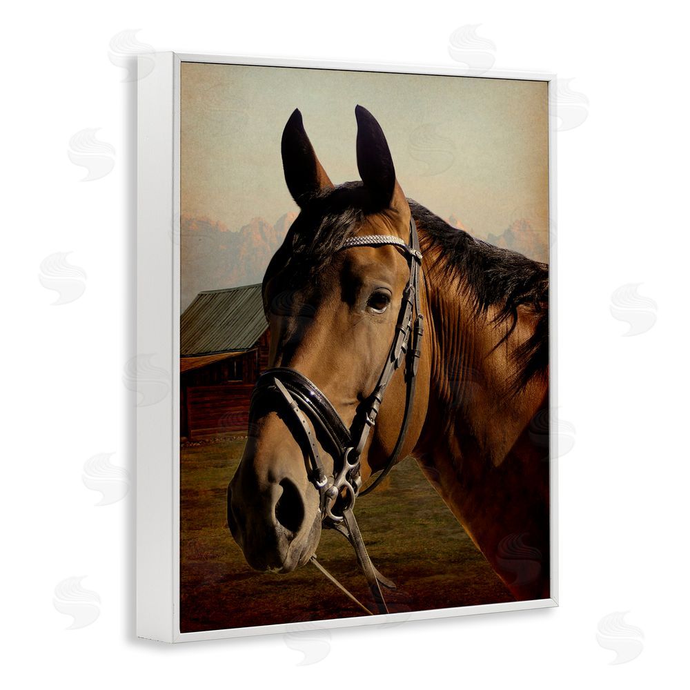 Marcus Prime Brown Horse Portrait White Framed Giclee Wall Art Print