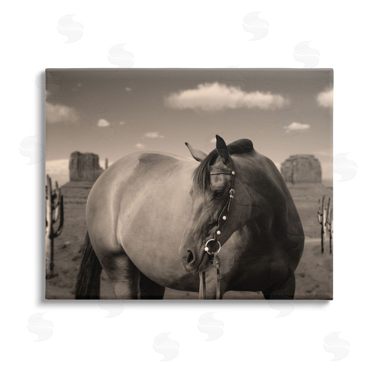 Marcus Prime Desert Horse Photography Canvas Wall Art Print