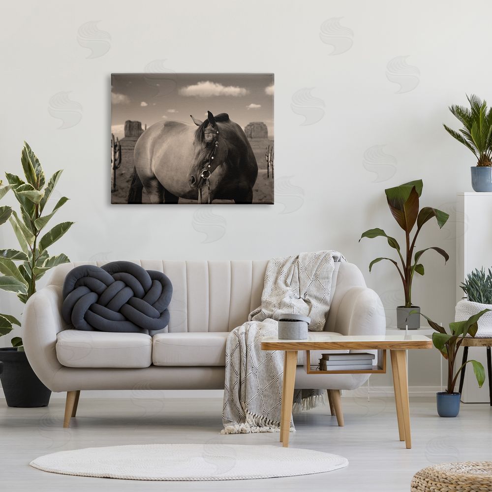 Marcus Prime Desert Horse Photography Canvas Wall Art Print in Room