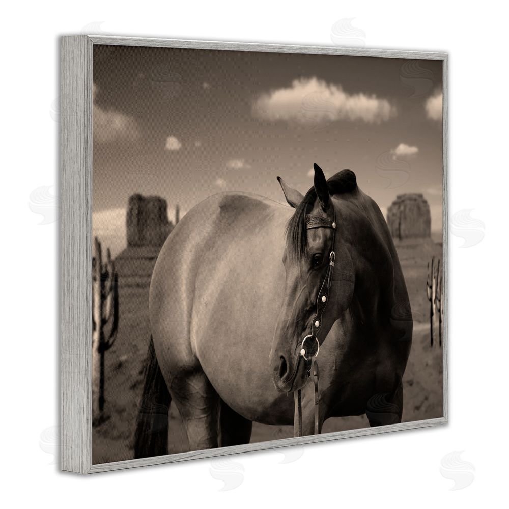 Marcus Prime Desert Horse Photography Gray Framed Giclee Wall Art Print