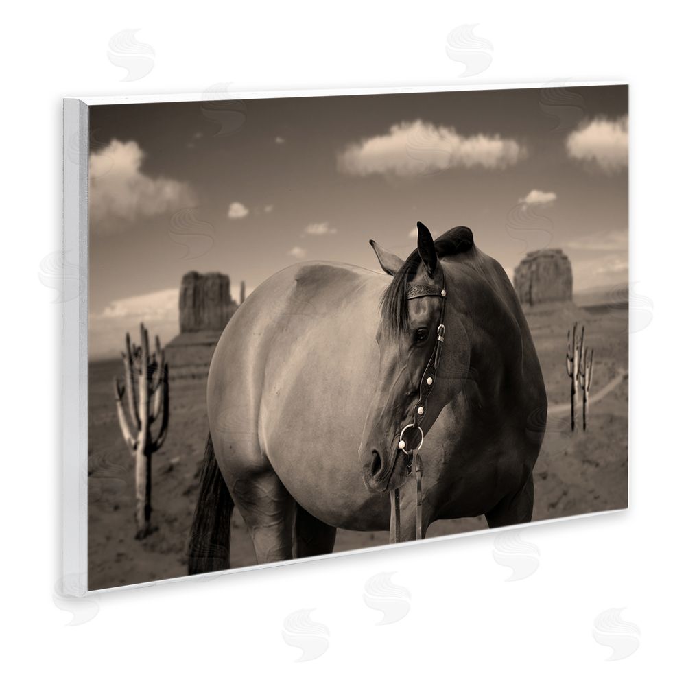 Marcus Prime Desert Horse Photography Wooden Wall Plaque Art Print
