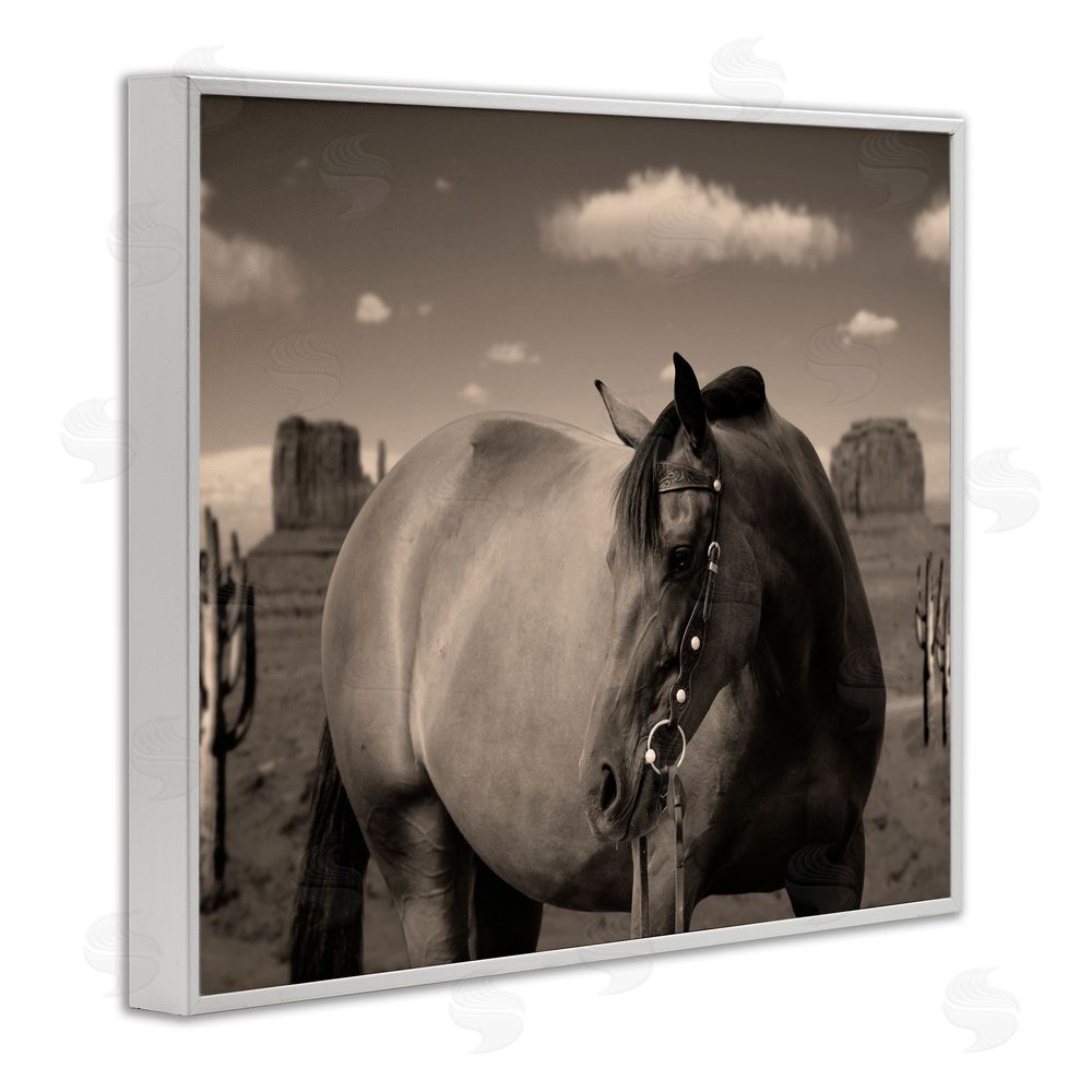 Marcus Prime Desert Horse Photography White Framed Giclee Wall Art Print