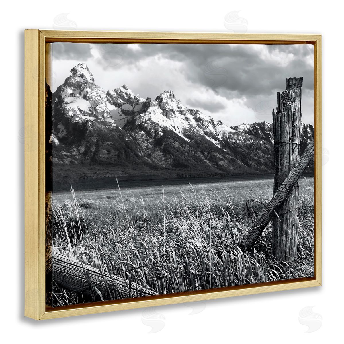 Grassland Fence Photography Gold Floating Frame Canvas Wall Art, Home Decor by Steve Toole
