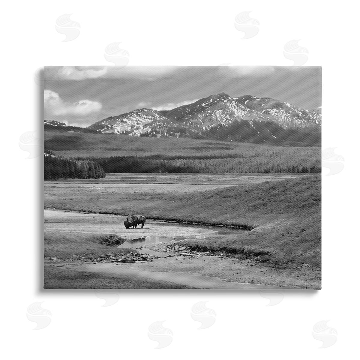 Steve Toole Bison in Mountain Scene Canvas Wall Art Print