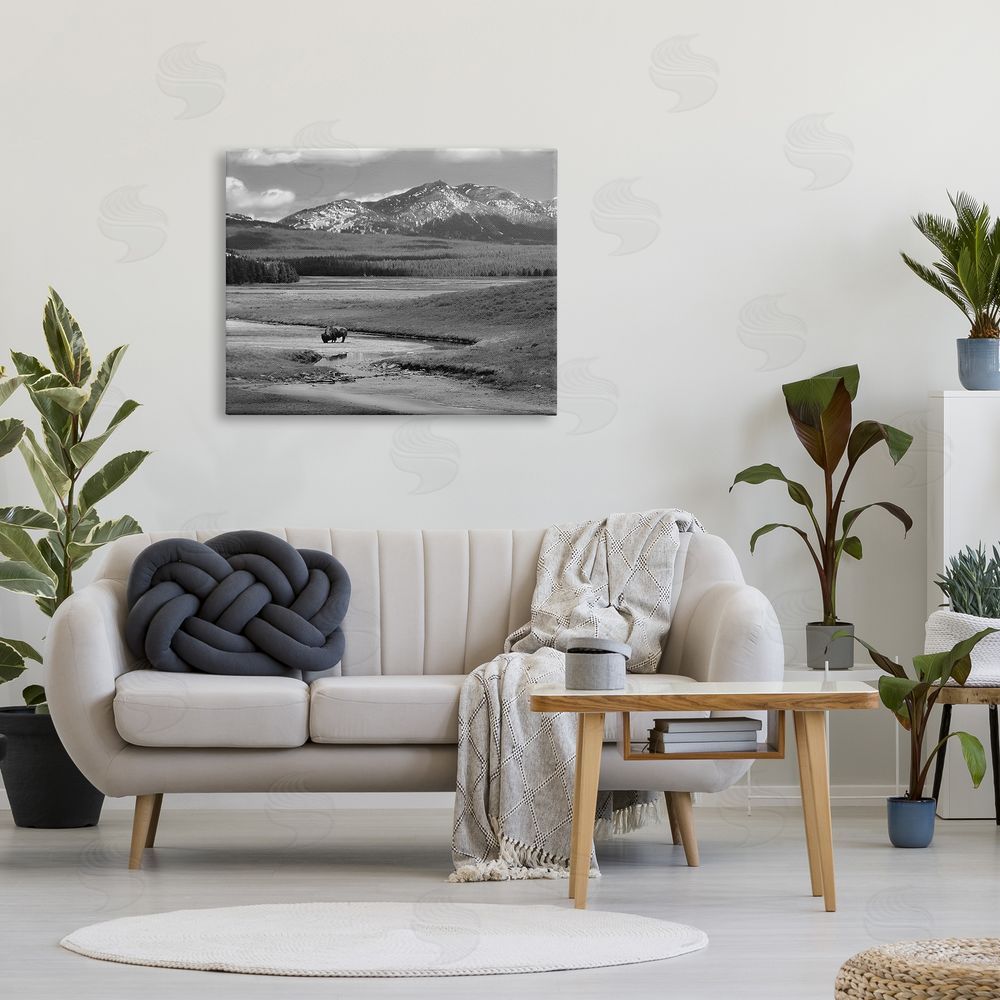 Steve Toole Bison in Mountain Scene Canvas Wall Art Print in Room