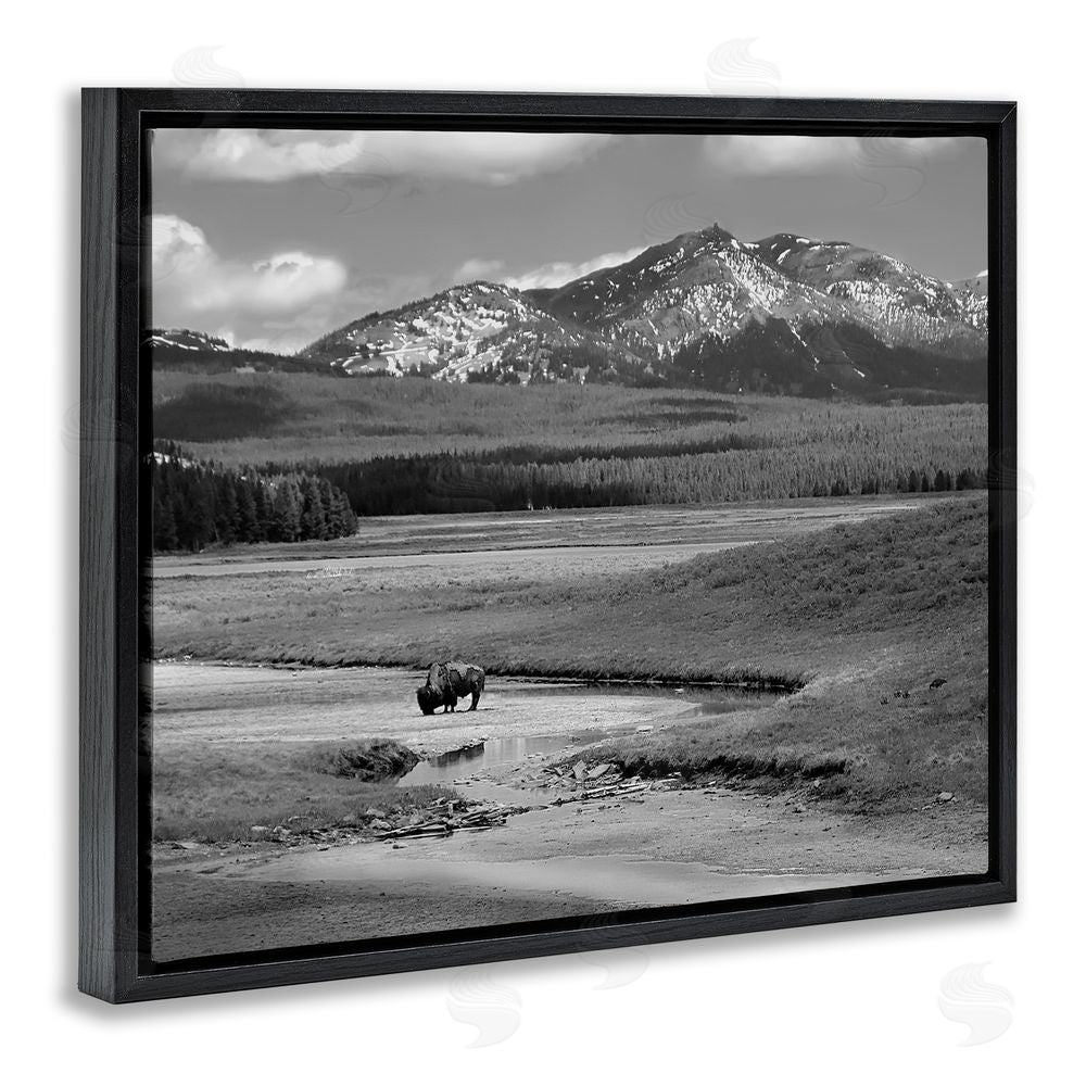 Steve Toole Bison in Mountain Scene Black Floating Frame Canvas Wall Art Print