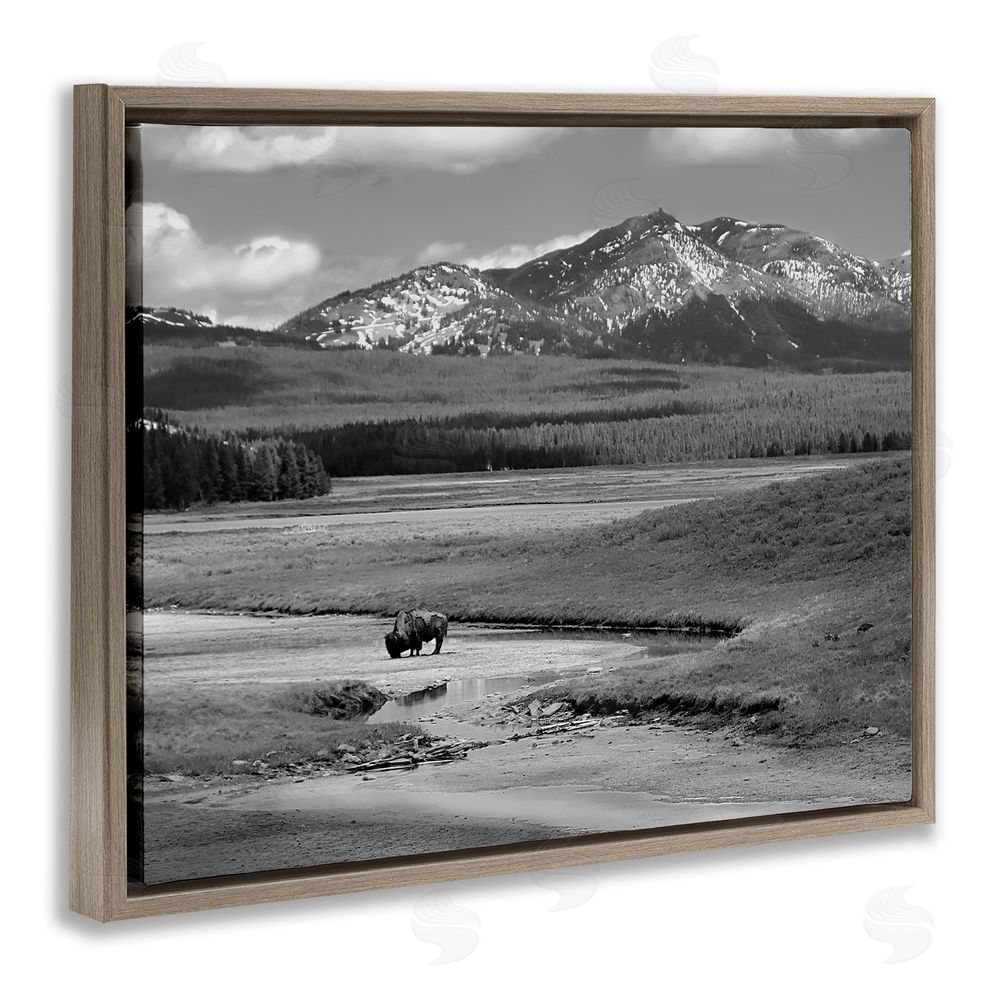 Steve Toole Bison in Mountain Scene Brown Floating Frame Canvas Wall Art Print