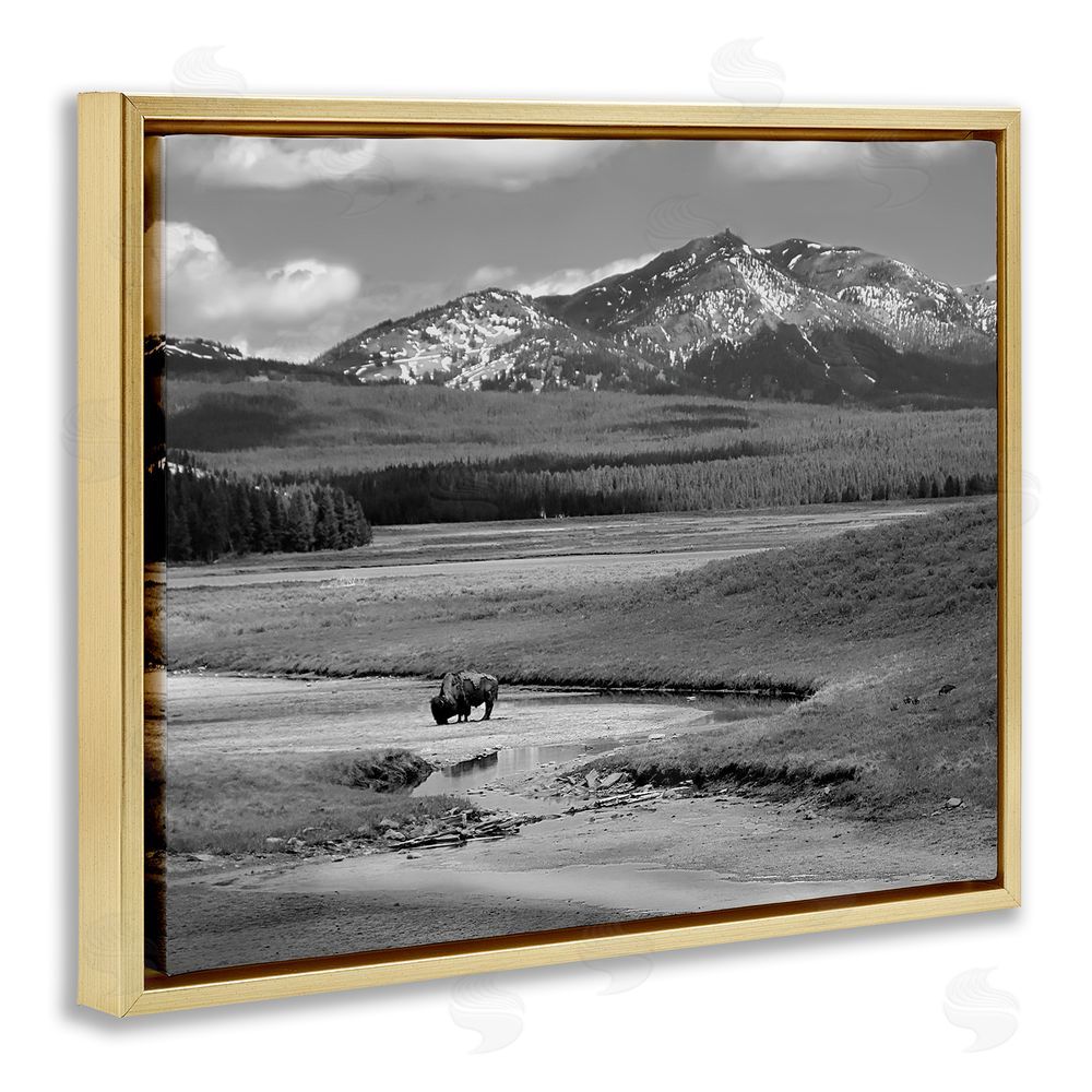 Steve Toole Bison in Mountain Scene Gold Floating Frame Canvas Wall Art Print