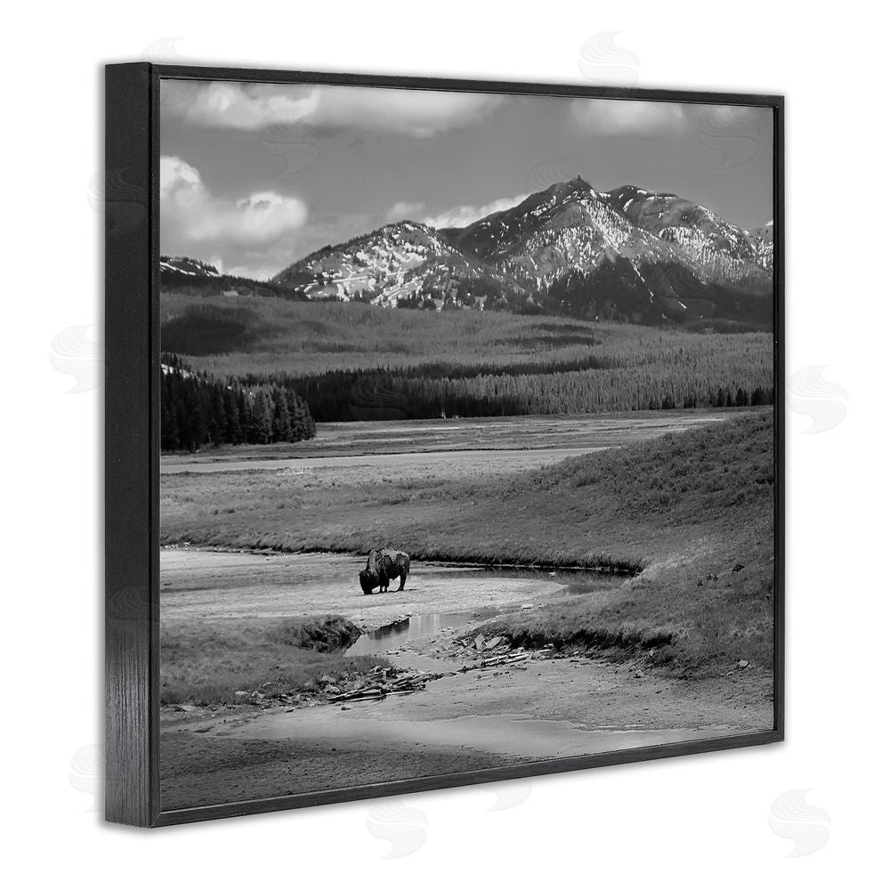 Steve Toole Bison in Mountain Scene Black Framed Giclee Wall Art Print