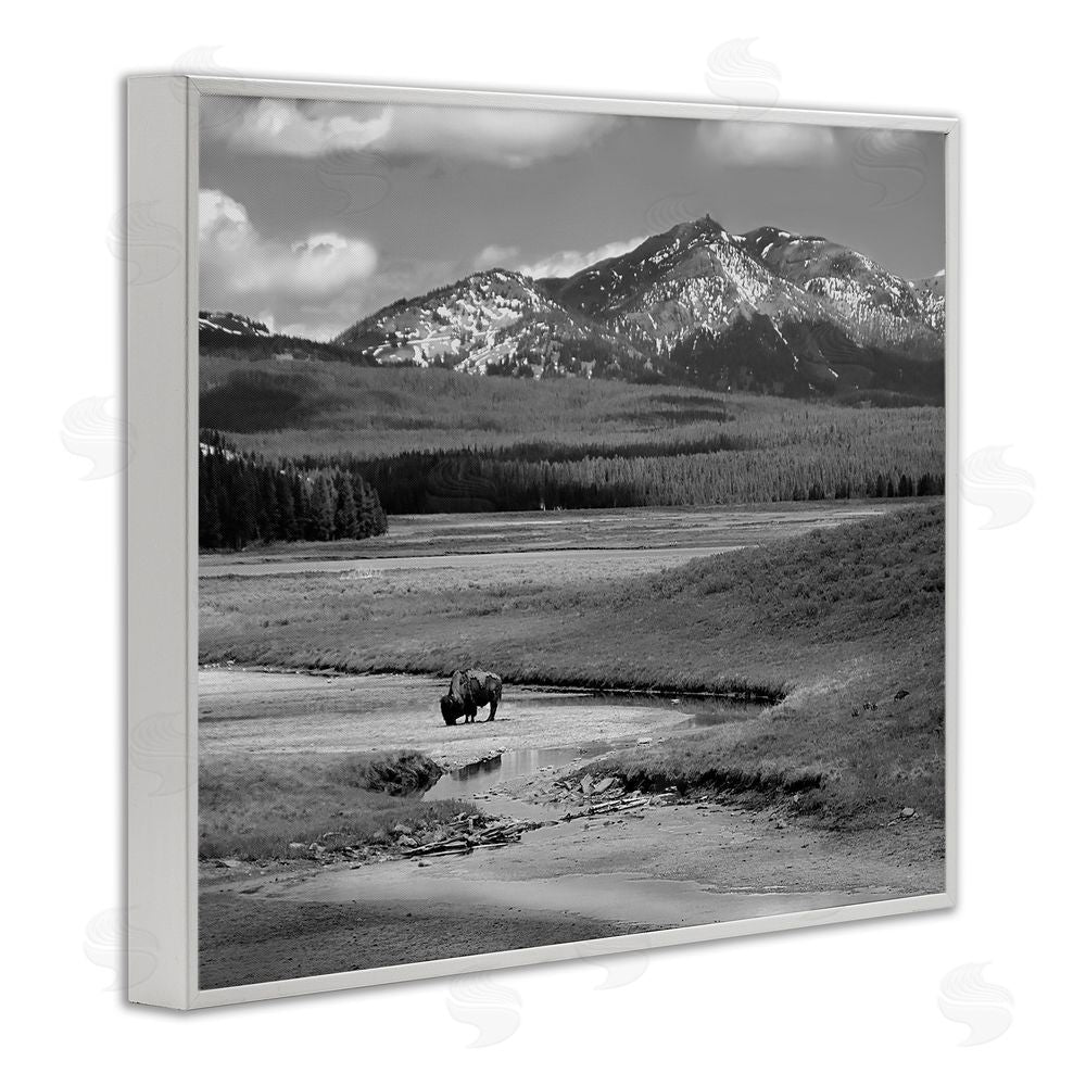 Steve Toole Bison in Mountain Scene White Framed Giclee Wall Art Print