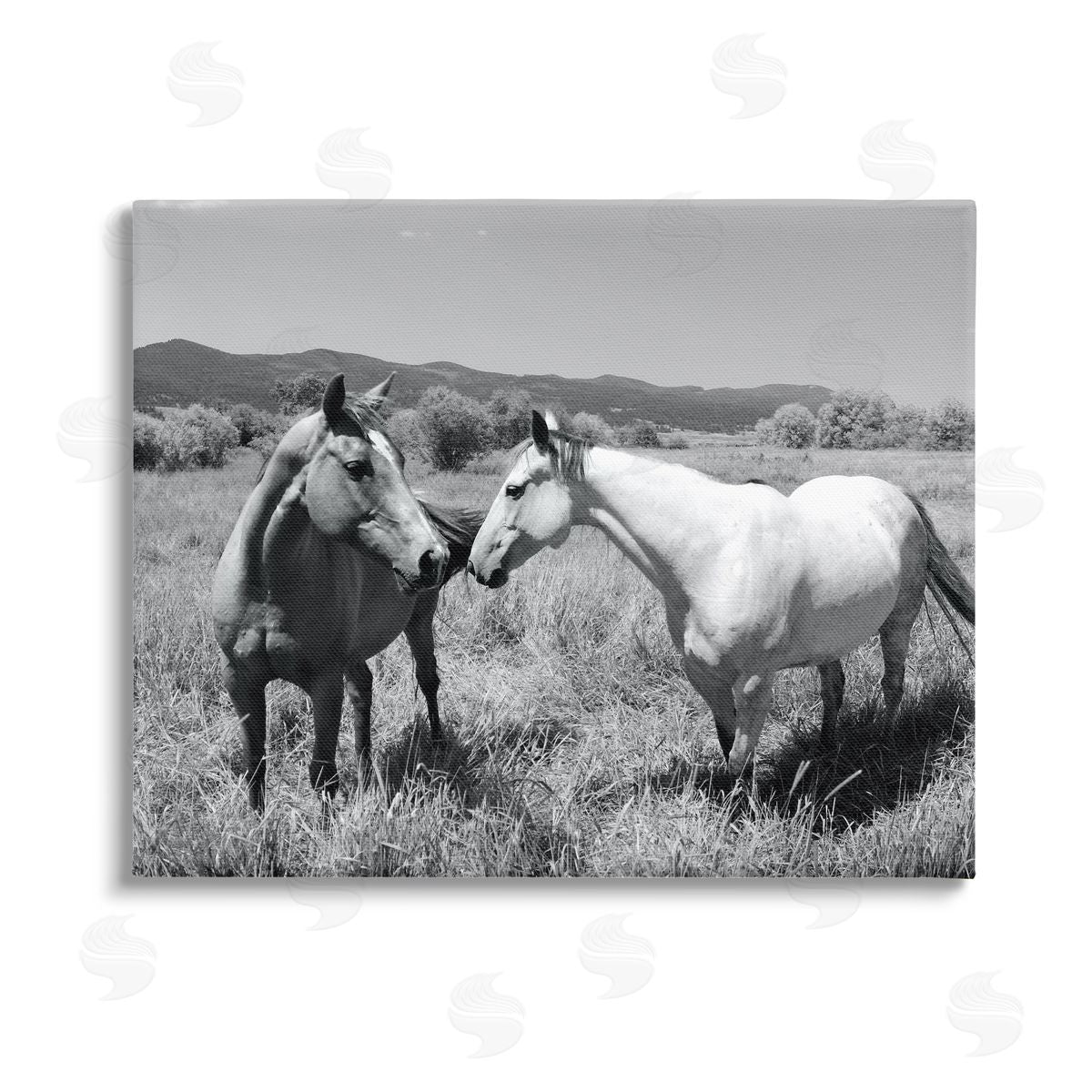 Steve Toole Two Horses Photography Canvas Wall Art Print