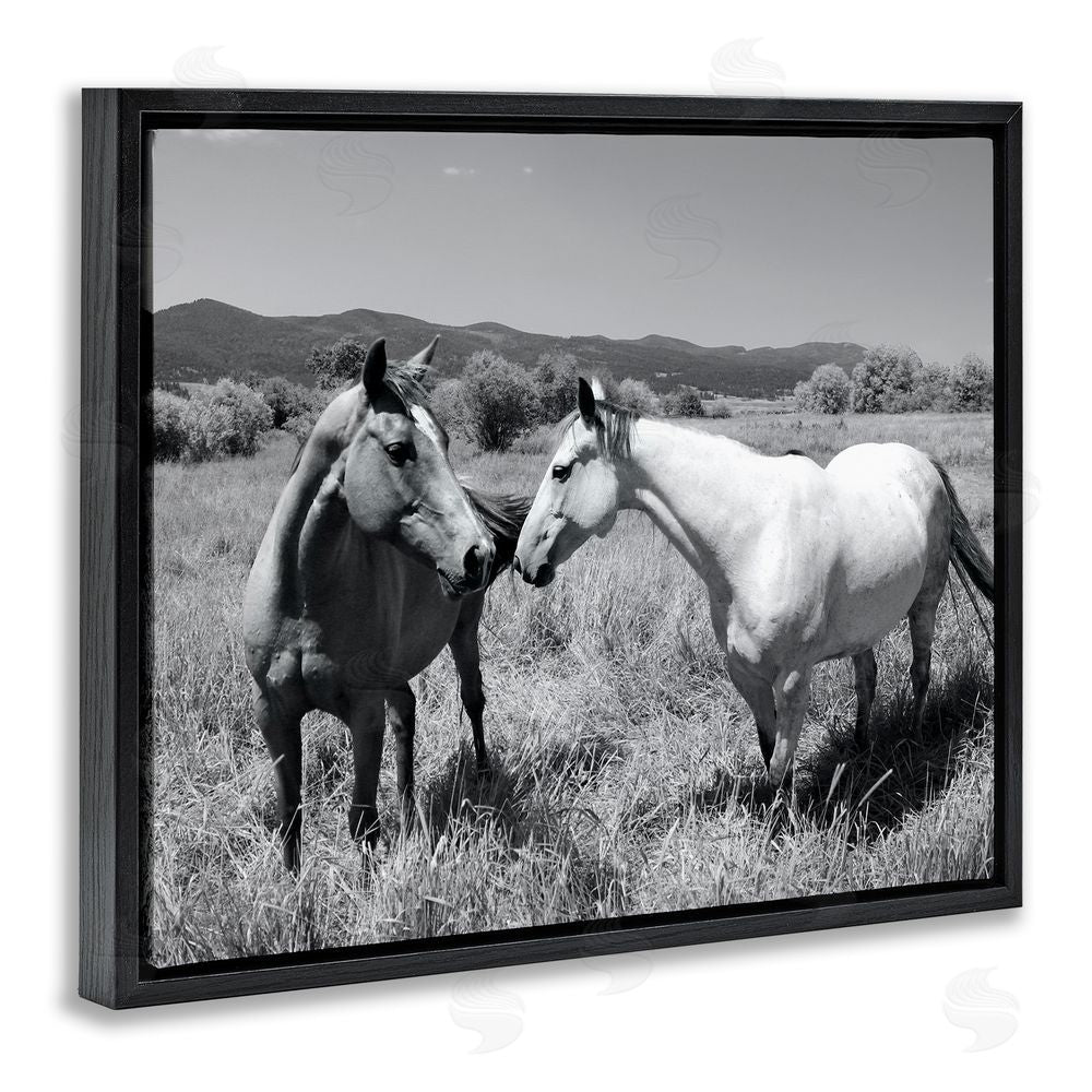 Steve Toole Two Horses Photography Black Floating Frame Canvas Wall Art Print