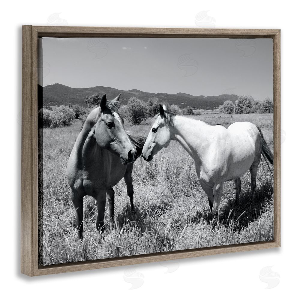 Steve Toole Two Horses Photography Brown Floating Frame Canvas Wall Art Print