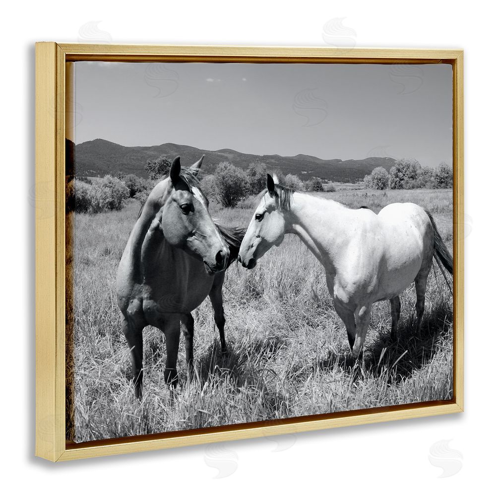 Steve Toole Two Horses Photography Gold Floating Frame Canvas Wall Art Print