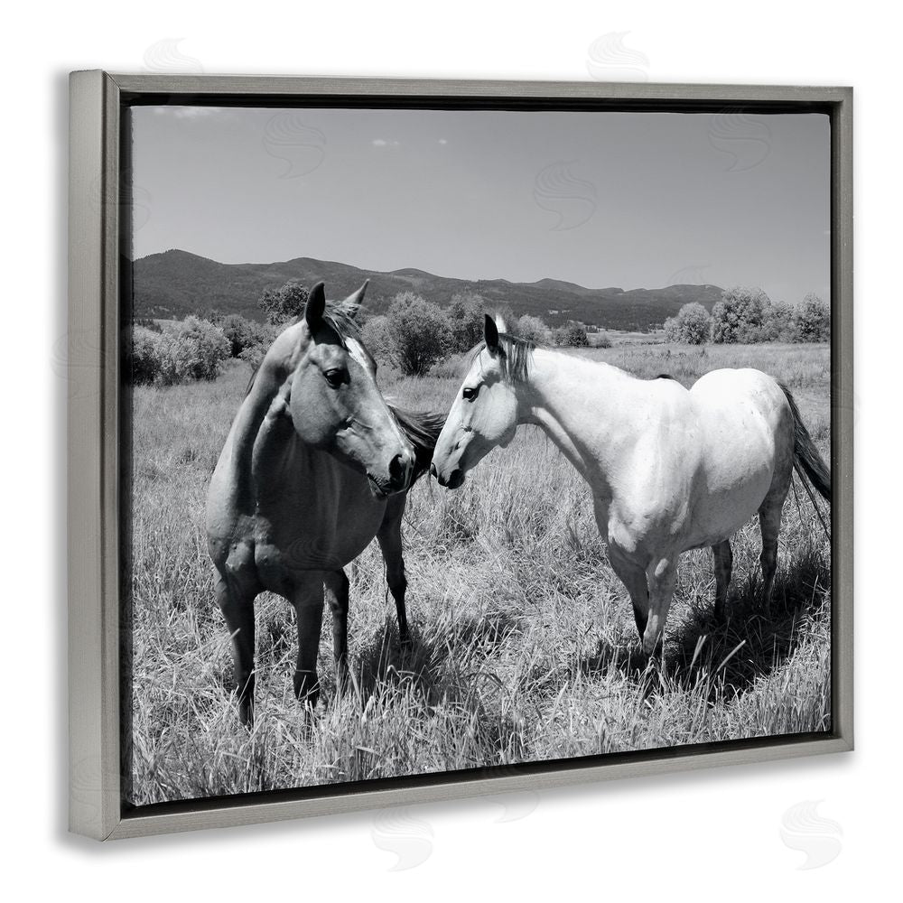 Steve Toole Two Horses Photography Gray Floating Frame Canvas Wall Art Print