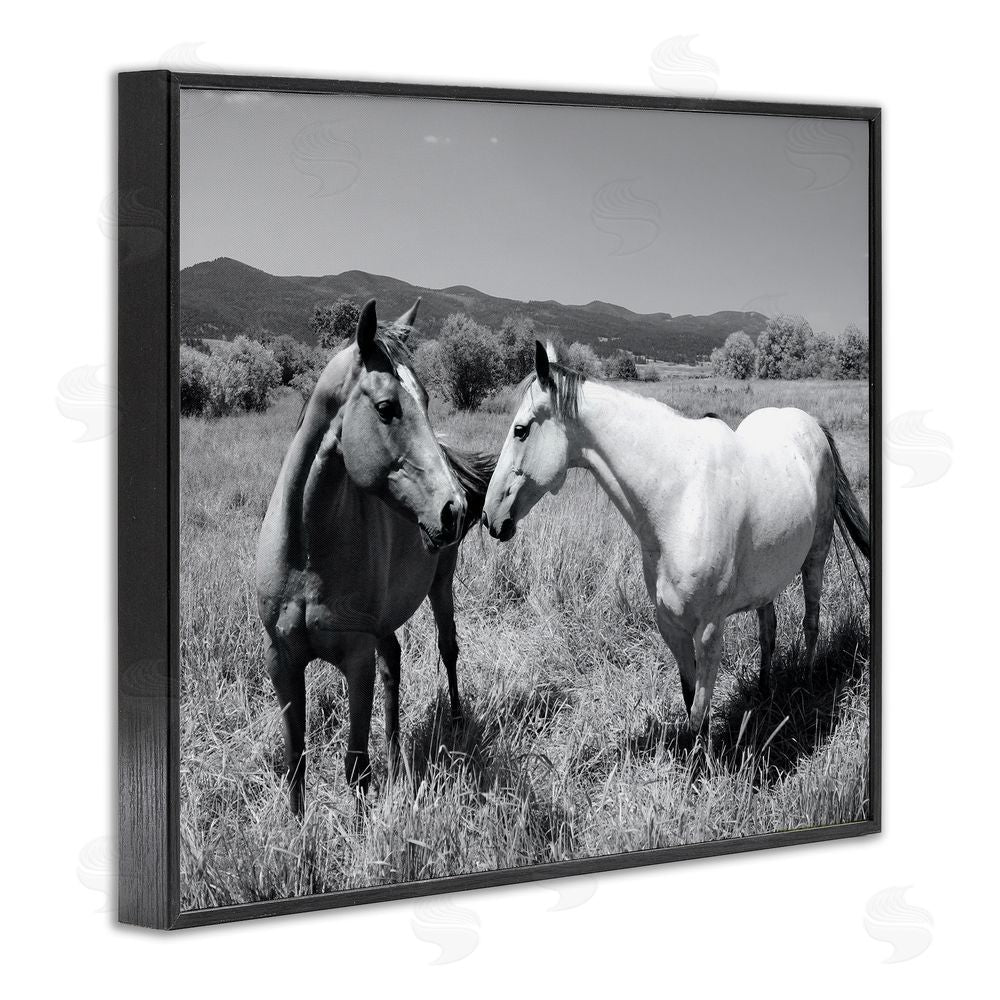 Steve Toole Two Horses Photography Black Framed Giclee Wall Art Print