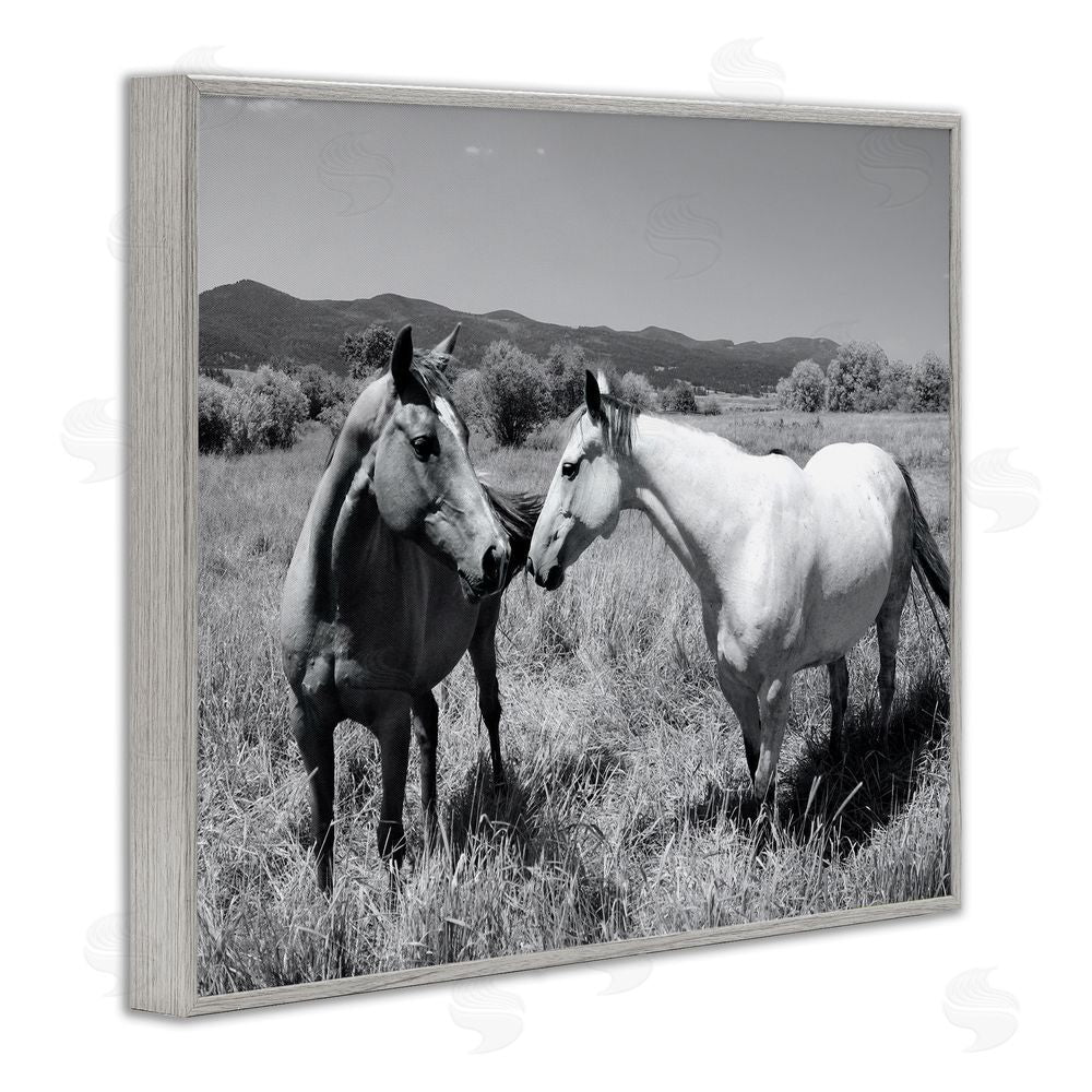 Steve Toole Two Horses Photography Gray Framed Giclee Wall Art Print