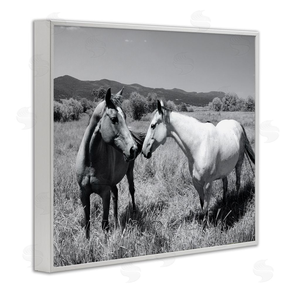 Steve Toole Two Horses Photography White Framed Giclee Wall Art Print