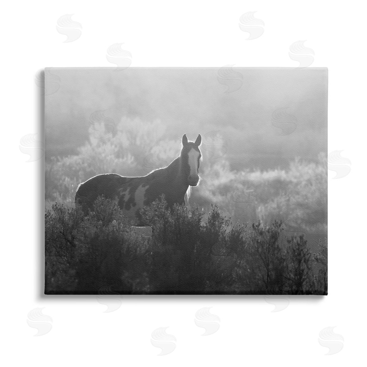 Steve Toole Horse in Nature Trees Canvas Wall Art Print